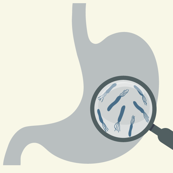 afbeelding helicobacter