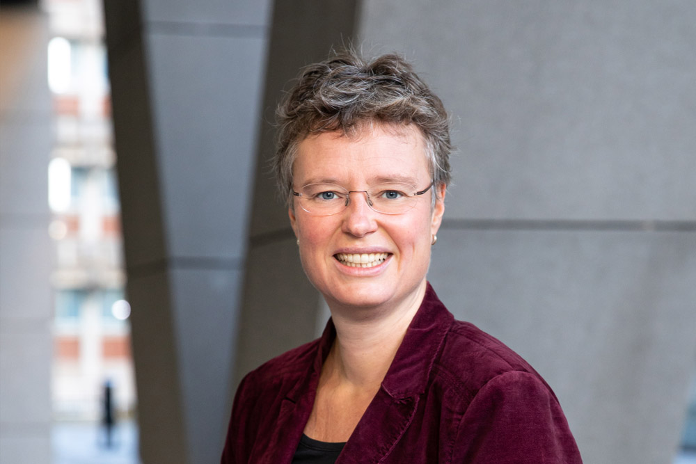 Prof.dr. Hanneke van Laarhoven